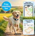 Smart Tag Tracker for Pets